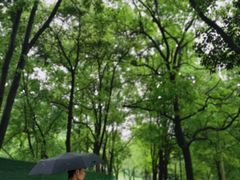 -昭山风景名胜区