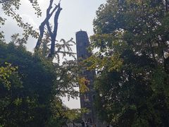 -上海佘山国家森林公园天马山园