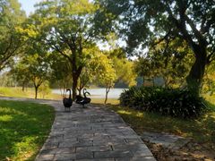 -福建鲤鱼洲酒店