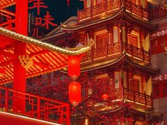 -越秀西湖花市(广州城市广场花卉店)