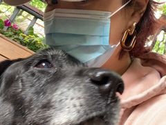 -Boxing Cat Brewery拳击猫精酿啤酒馆(永福店)