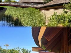 -白洋淀风景区