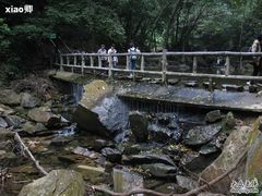 -鼎湖山风景区