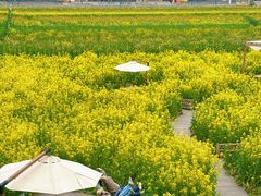 -中国天府农业博览园