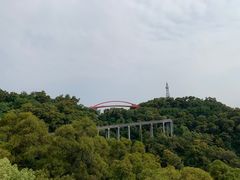 -金鸡山公园