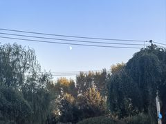 -长春公园(普阳街道)