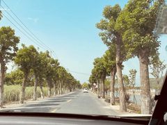 -上海杨姆庄园