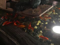 -悦慕·花满溪(新城吾悦店)