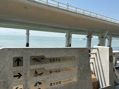 -演武大桥观景平台