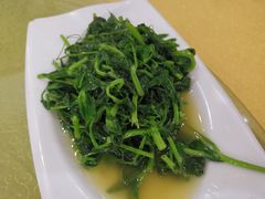 -钟水饺(339店)