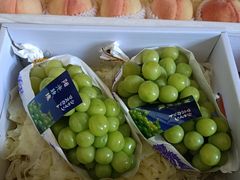 -南京众彩农副产品配送有限公司
