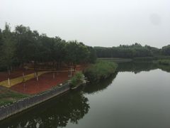 -大兴滨河森林公园