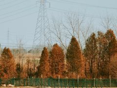 -溱湖国家湿地公园