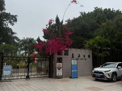 -东风公园