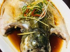清蒸鲈鱼-悟长年潮汕菜砂锅粥(圣熙8号店)