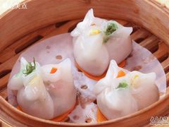 -顺德君豪酒店(佛山容桂渔人码头店)