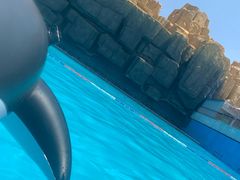 -青阅·在河之洲水上乐园
