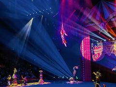 -珠海横琴长隆《卡卡虎奇遇记》