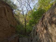 -大岭沟猕猴桃谷风景区