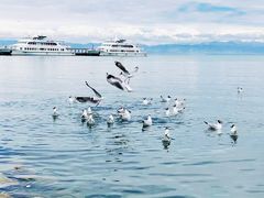 -青海湖国家重点风景名胜区