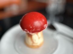 -时光吧·大堂吧·丽江和府洲际度假酒店