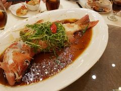清蒸东星斑-新世纪大酒楼·30年南海菜