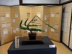 -三千院