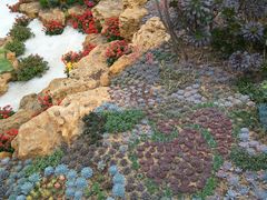 -南通洲际绿博园