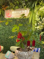 -小熊维尼高端孕婴摄影(清湖金銮店)