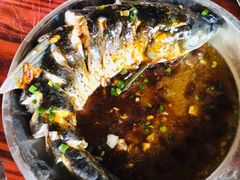 -松山湖南湖湾露营营地