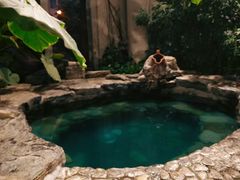 -中家鑫园温泉酒店鑫悦汤泉