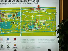 -上海海湾国家森林公园