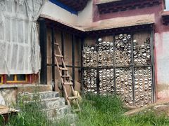 -比如骷髅墙景区