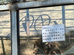 -北京鹿世界主题园