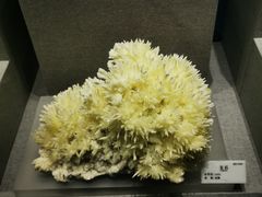 -贵州省地质博物馆