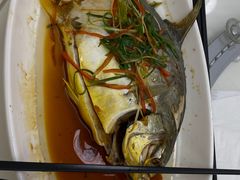 -日日香卤鹅饭店·澄海狮头鹅(澄海店)