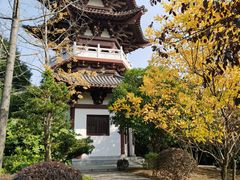 -武汉园博园(武汉自然博物馆)