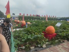 -长春农业博览园
