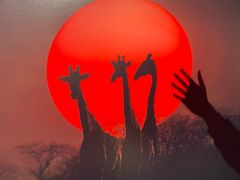 -罗红摄影艺术馆