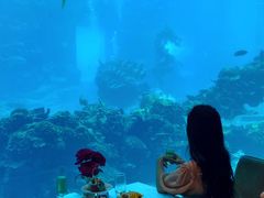 -涛·海底餐厅·美人鱼·自助餐·海底隧道(三亚海棠湾洲际度假酒店)