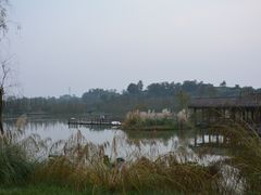 -白鹭湾湿地公园