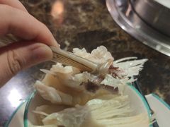 -鱼粤鲜淘米捞·中山脆肉鲩火锅(悦湖会店)