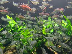 -成都浩海立方海洋公园