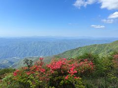 -大围山国家森林公园