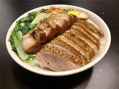 -潮双喜正宗澄海狮头鹅华利路店