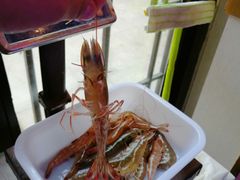 -渔民船说·北塘海鲜·天津菜·海肠捞饭(北塘古镇店)