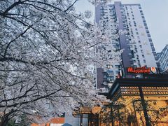 -玛格萝妮比萨屋(四平店)