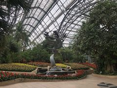 -南山植物园