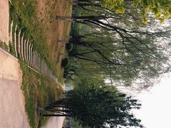 -永定河休闲森林公园