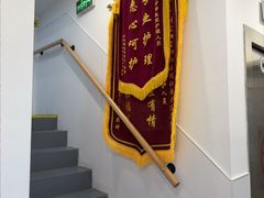 -宠物星动物医院·眼科·异宠·猫科(江南大道总院)